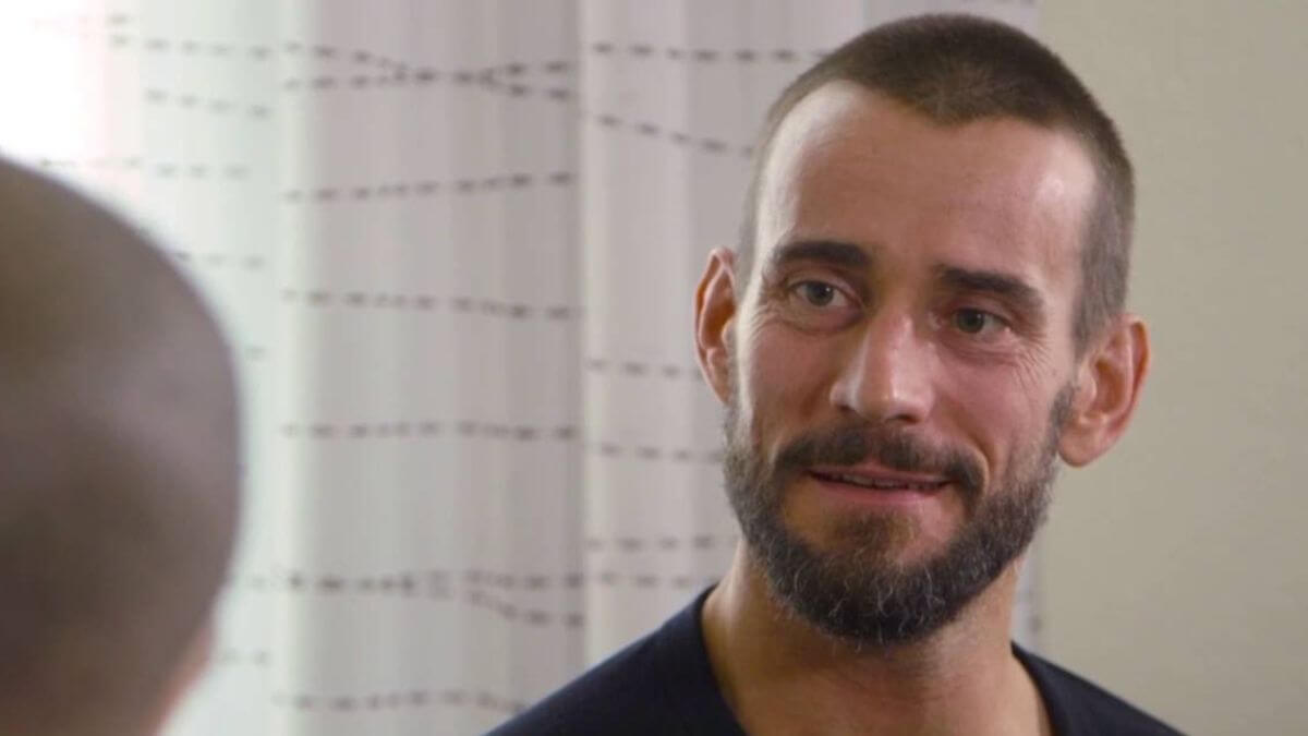 CM Punk Hair