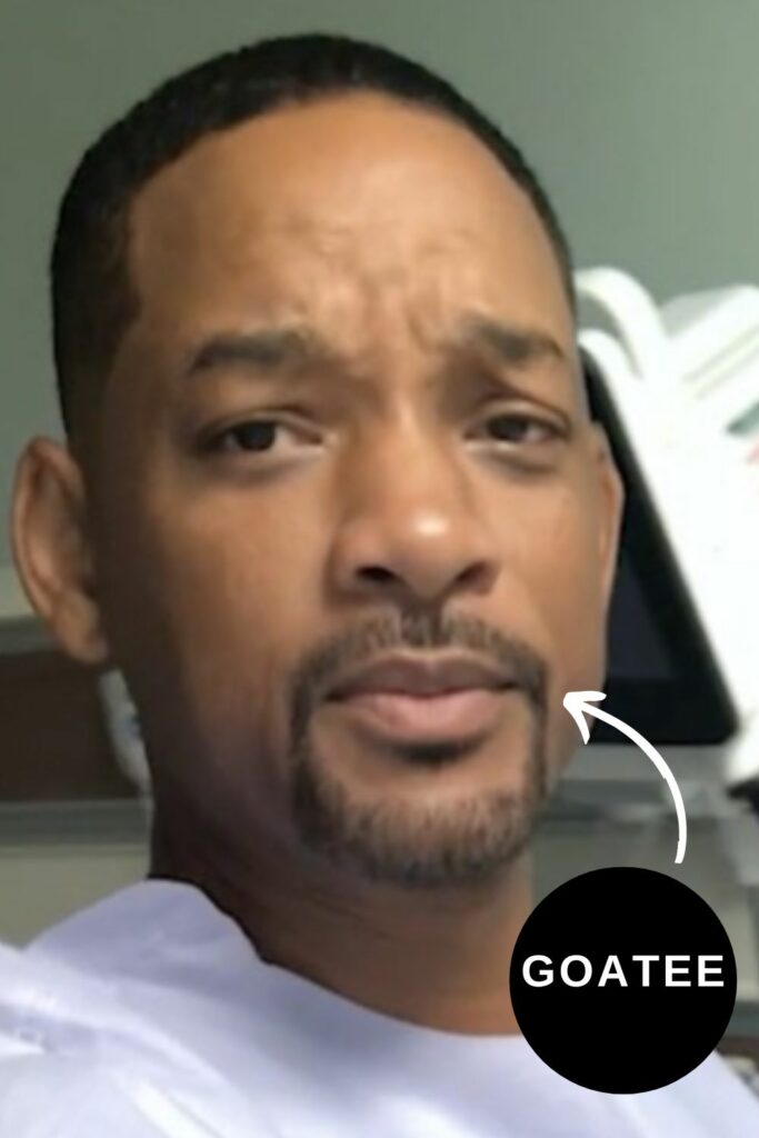 Will Smith Beard in goatee