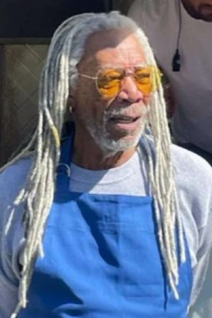 Grey Dreads