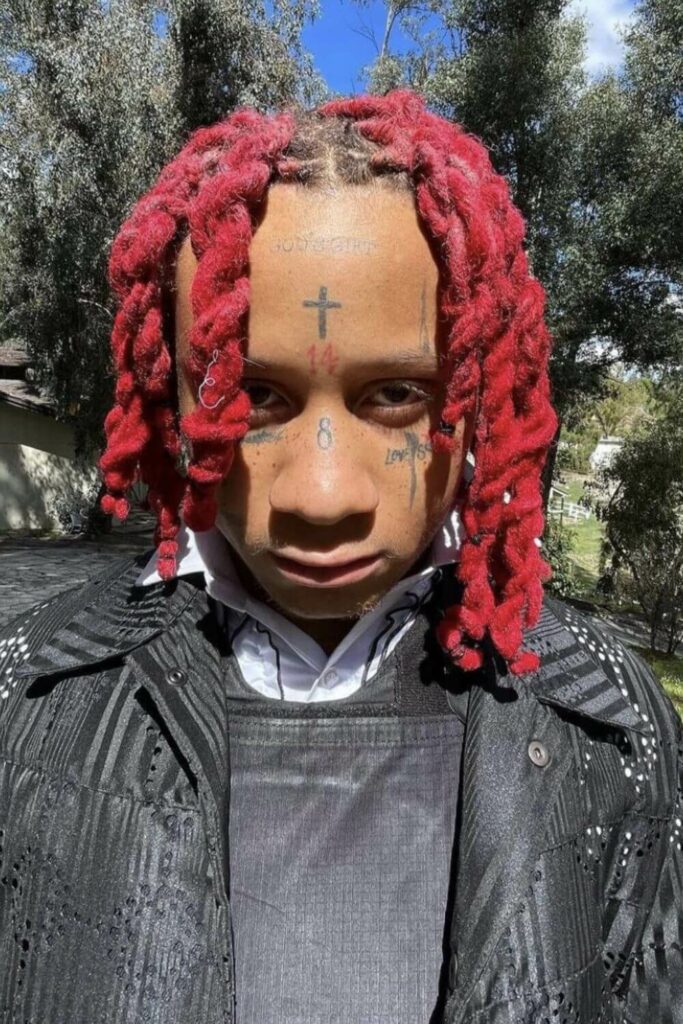 red locs in 2 strand twists