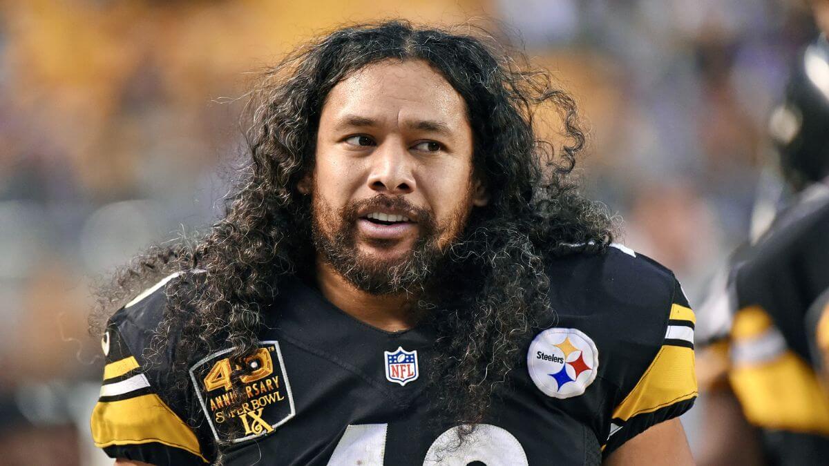 troy polamalu hair