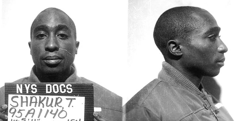 mugshot showing hair