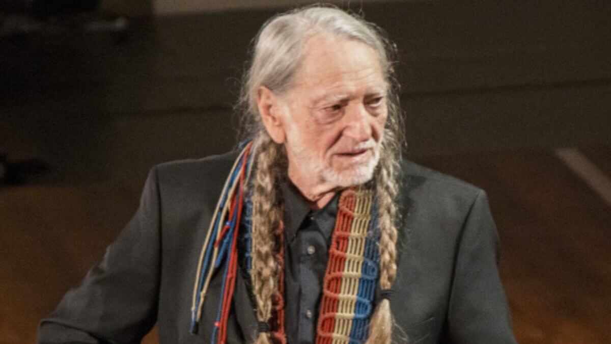 Willie Nelson Braids