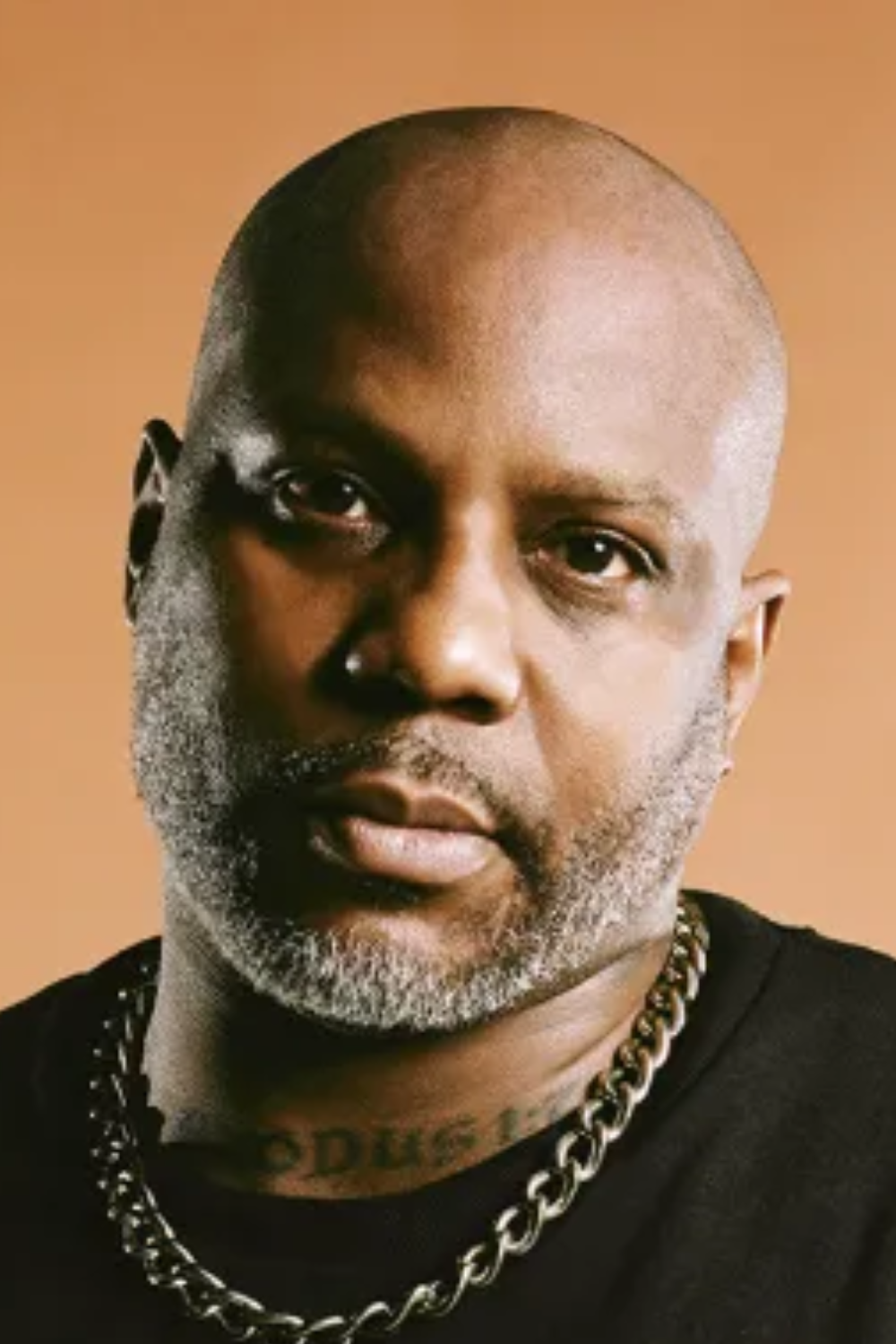the best Bald Rappers