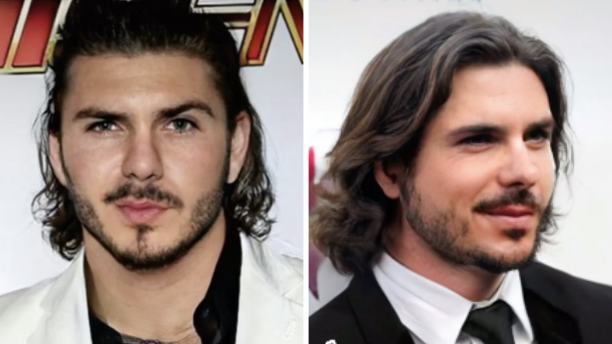 Pitbull with fake hair
